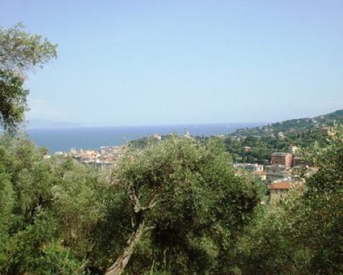 vendita case Santa Margherita Ligure