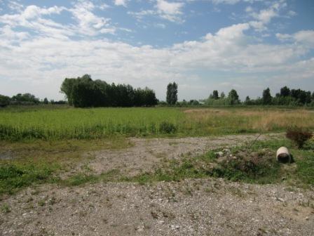 Vendita Terreno uso commerciale Villa del Conte Villa del Conte - Centro