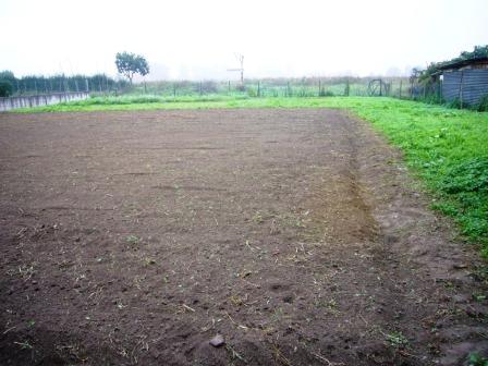 Vendita Terreno uso commerciale Terrassa Padovana Arzercavalli