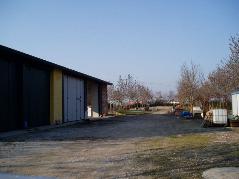 Vendita Capannone Cittadella Cà Onorai