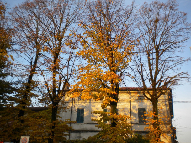 Vendita Appartamento Casaloldo Casaloldo - Centro