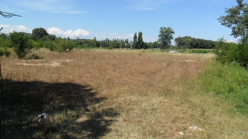 Affitto Terreno uso commerciale Castiglione delle Stiviere Castiglione delle Stiviere