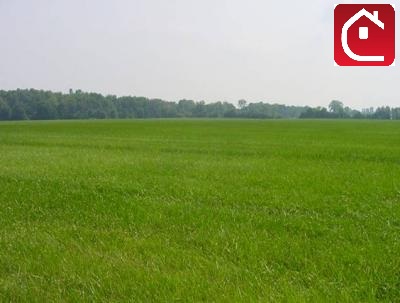 Vendita Terreno uso commerciale Sant'Angelo di Piove di Sacco