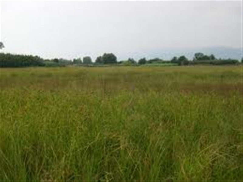 Vendita Terreno uso commerciale Sant'Angelo di Piove di Sacco Sant'Angelo di Piove di Sacco