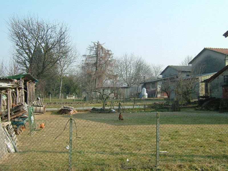 Vendita Terreno uso commerciale Piazzola sul Brenta Piazzola Sul Brenta