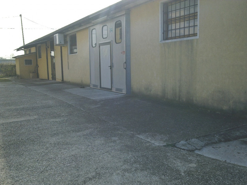 Vendita Laboratorio Piazzola sul Brenta Tremignon