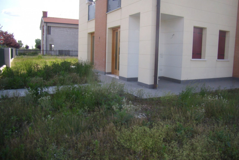 Vendita Casa indipendente Santa Giustina in Colle