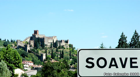 Attivit� commerciale Vendita Soave