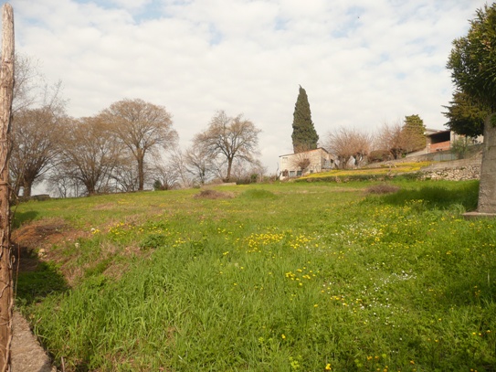 terreno Vendita Colognola ai Colli