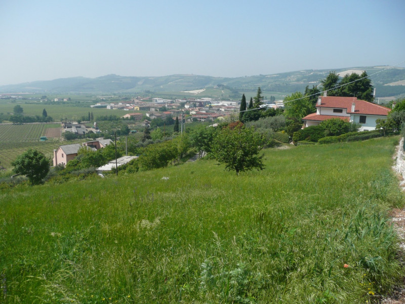 terreno Vendita Tregnago
