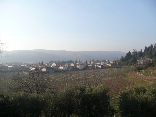 Villa-Villetta Vendita Tregnago