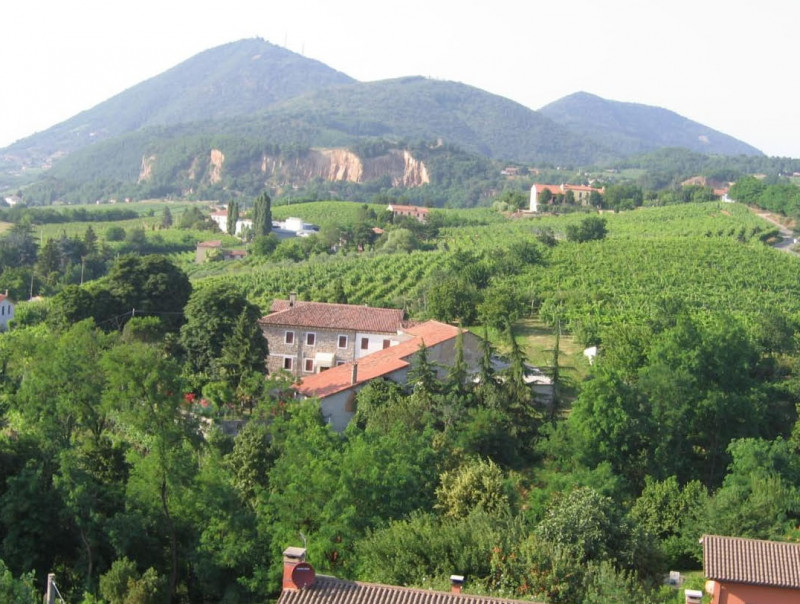 Vendita Rustico/Casale Vo' Boccon