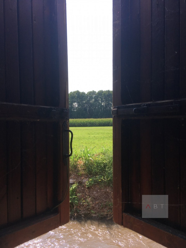 Casa indipendente in Vendita a San Giorgio in Bosco (Padova) - Rif: 041