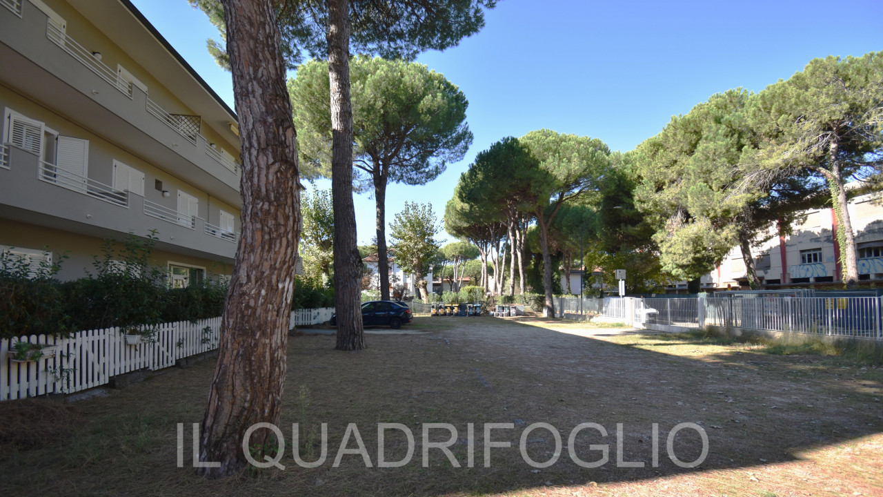 immagine annuncio 6 di 8