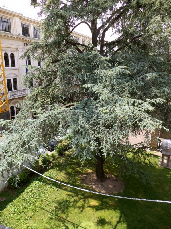  padova affitto quart: centro storico sara-immobiliare