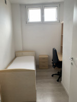 appartamento in affitto Padova foto img_0624.jpg
