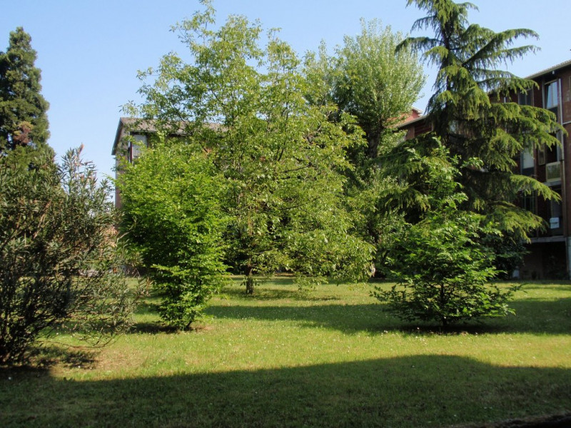 Appartamento PADOVA vendita  Mortise  Eurocostruzioni Eurocasa S.r.l.