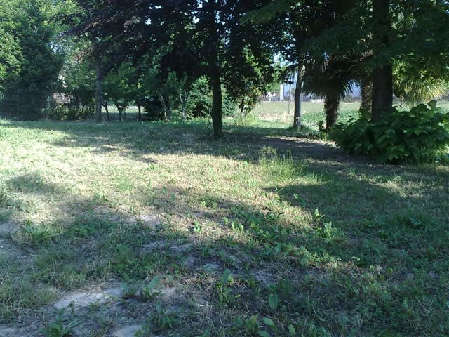 Villa Bifamiliare SAONARA vendita  Saonara Saonara EDILMEDIA