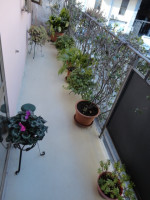 appartamento in affitto Padova foto 002__dsc03683.jpg