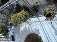 appartamento in affitto Padova foto 005__dsc03689.jpg