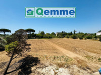villa in vendita San Cesario di Lecce foto 024__whatsapp_image_2025-07-15_at_12_43_13_d_wmk_0.jpg
