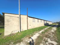 laboratorio in vendita Fossò foto 001__2_capannoni___6000_mq_terreno__convertibili_in_abitativo__7.jpg