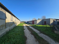 laboratorio in vendita Fossò foto 003__2_capannoni___6000_mq_terreno__convertibili_in_abitativo__8.jpg