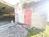 laboratorio in vendita Fossò foto 005__2_capannoni___6000_mq_terreno__convertibili_in_abitativo__2.jpg