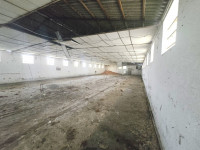 laboratorio in vendita Fossò foto 006__2_capannoni___6000_mq_terreno__convertibili_in_abitativo__10.jpg