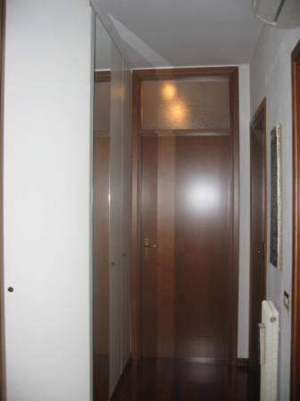 Appartamento PADOVA vendita  Torre  Eurocostruzioni Eurocasa S.r.l.