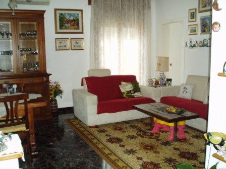 Villa Unifamiliare - Indipendente PADOVA vendita  Torre  Eurocostruzioni Eurocasa S.r.l.