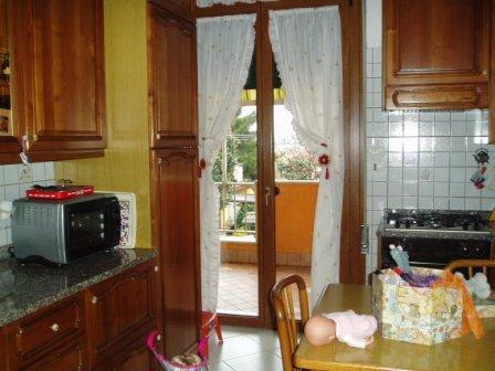 Villa Unifamiliare - Indipendente PADOVA vendita  Torre  Eurocostruzioni Eurocasa S.r.l.