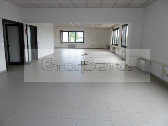  padova affitto quart: zona industriale est eta-beta-immobiliare