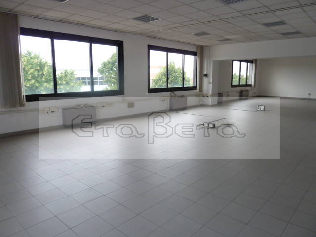 Ufficio - Loc.Com. PADOVA affitto  Zona Industriale Est Zona Industriale Eta Beta Immobiliare