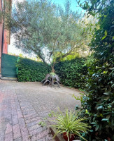 casa a schiera in vendita Badia Polesine foto 001__photo-2025-10-09-09-29-11.jpg