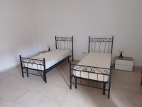 appartamento in affitto Trecenta foto 004__20230619_094918.jpg