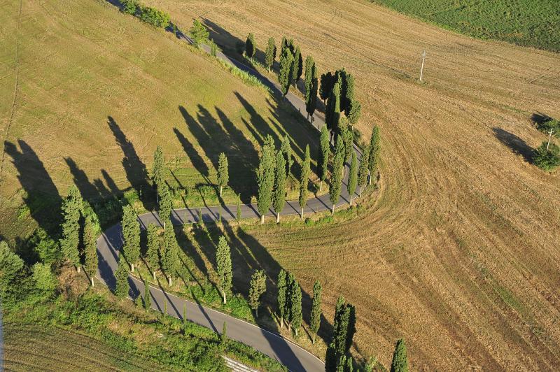 Vendita multiproprietà zona Legoli a Peccioli (PI) 390.000 mq
