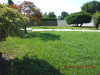 casa singola in vendita Veggiano foto 010__giardino.jpg