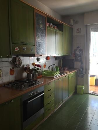 Appartamento PADOVA vendita  Torre  Eurocostruzioni Eurocasa S.r.l.