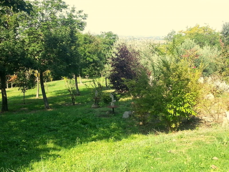 Villa Unifamiliare - Indipendente BAONE vendita  Calaone BANZE Immobiliare Principe Umberto