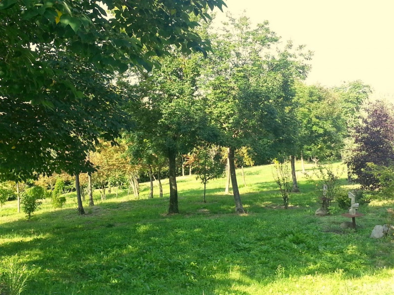 Villa Unifamiliare - Indipendente BAONE vendita  Calaone BANZE Immobiliare Principe Umberto