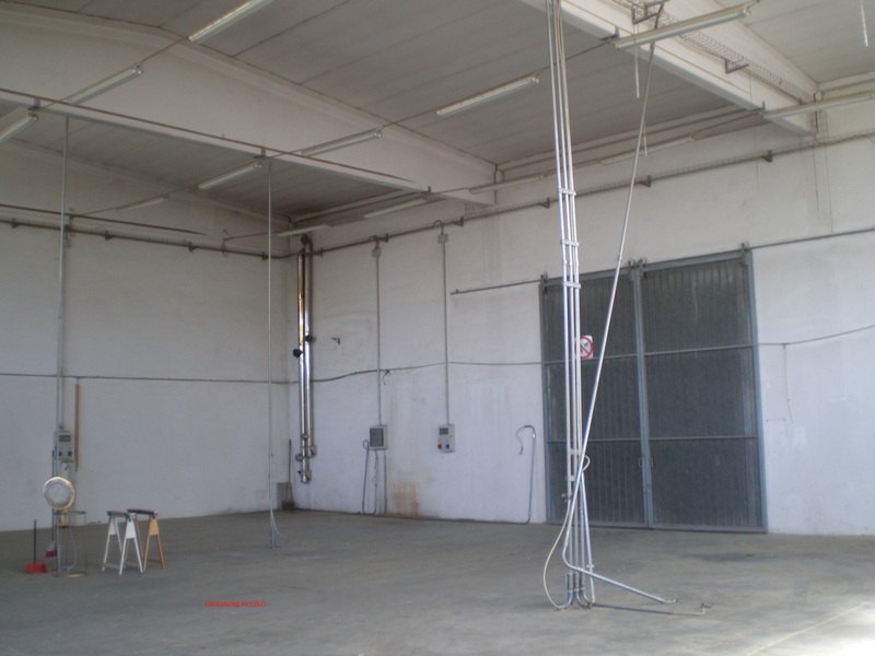 Capannone Commerciale PARMA vendita  Paradigna via giorgio Gastaldi 1 Immobiliare Luca