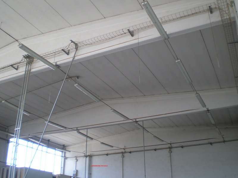 Capannone Commerciale PARMA vendita  Paradigna via giorgio Gastaldi 1 Immobiliare Luca