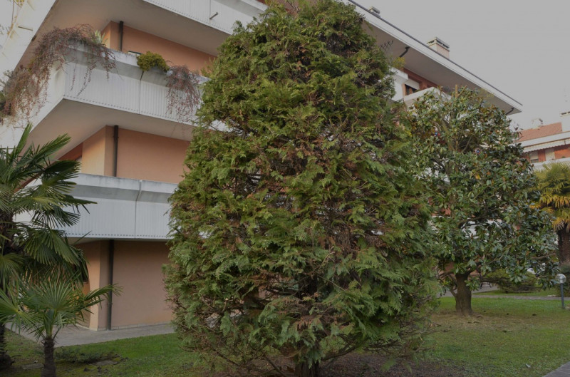 Appartamento PADOVA vendita  Mortise Padova Mortise Eurocostruzioni Eurocasa S.r.l.