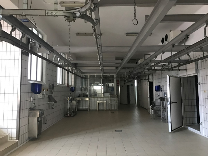 Capannone Commerciale TRIESTE vendita  Periferia Via Flavia URBAN REAL ESTATE S.R.L.