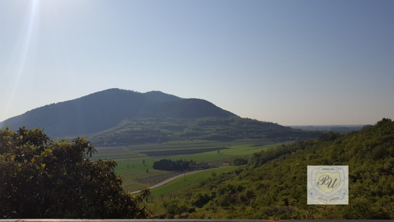 Villa ARQUÀ PETRARCA vendita  Arquà Petrarca Via Zane Immobiliare Principe Umberto