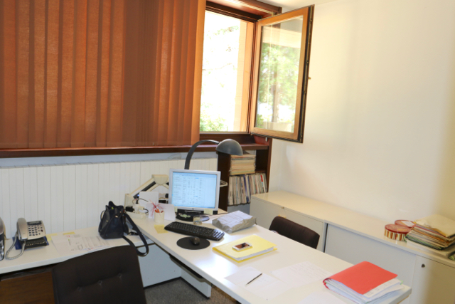 Ufficio - Loc.Com. TRIESTE affitto  Semicentro via Rossetti Savino Gestioni Immobiliari