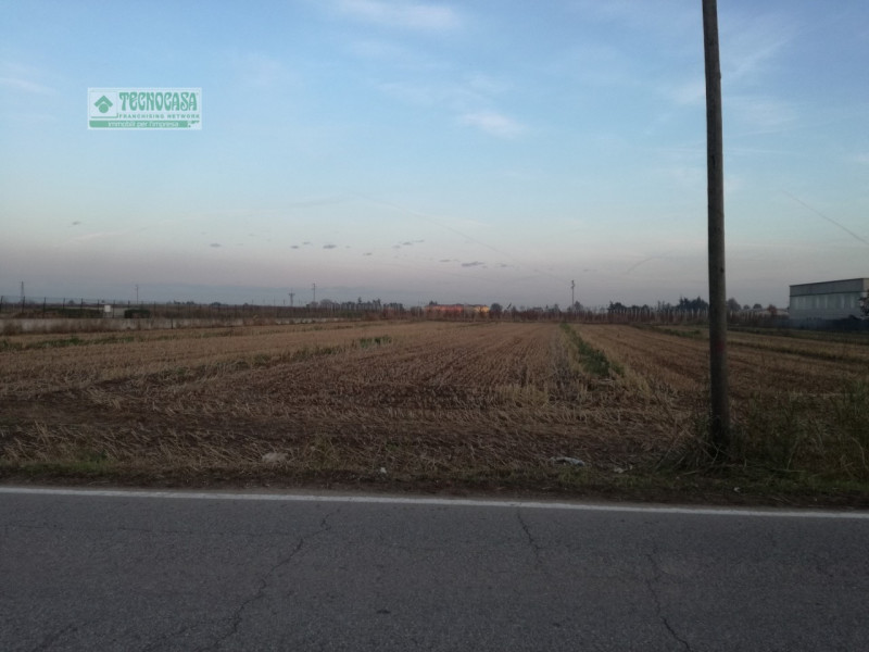 Vendita attività commerciale Località Colombare Fiorio zona Villafranca di Verona a Villafranca Di Verona (VR) 10.500 mq