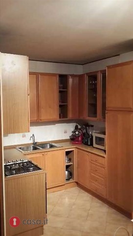 Appartamento PADOVA vendita  Torre  Eurocostruzioni Eurocasa S.r.l.