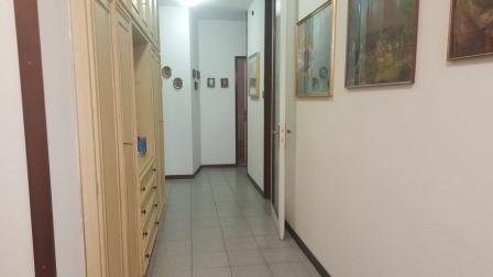 Appartamento PADOVA vendita  Padova - Centro  Eurocostruzioni Eurocasa S.r.l.